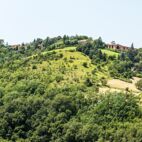 Bologna Madonna di San Luca Von Frank Krautschick